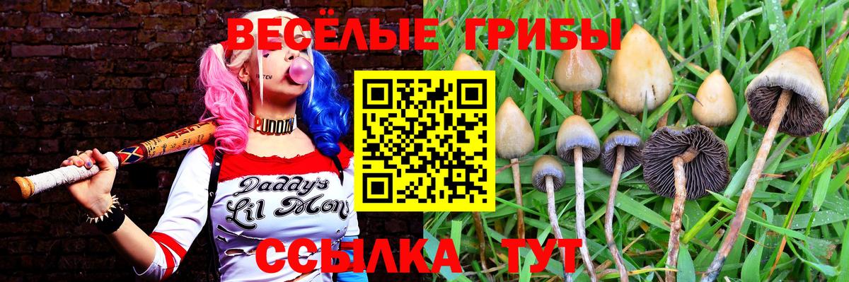 Псилоцибиновые грибы Cubensis Югорск