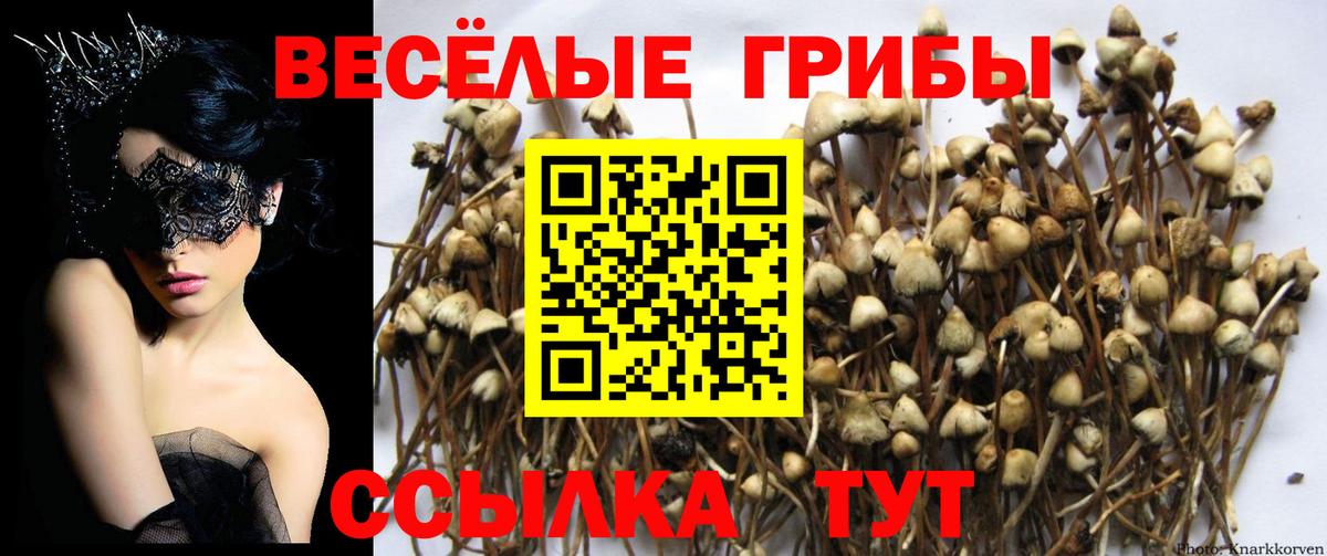Галлюциногенные грибы Magic Shrooms  Вход с VPN  Галлюциногенные грибы Magic Shrooms  Югорск 